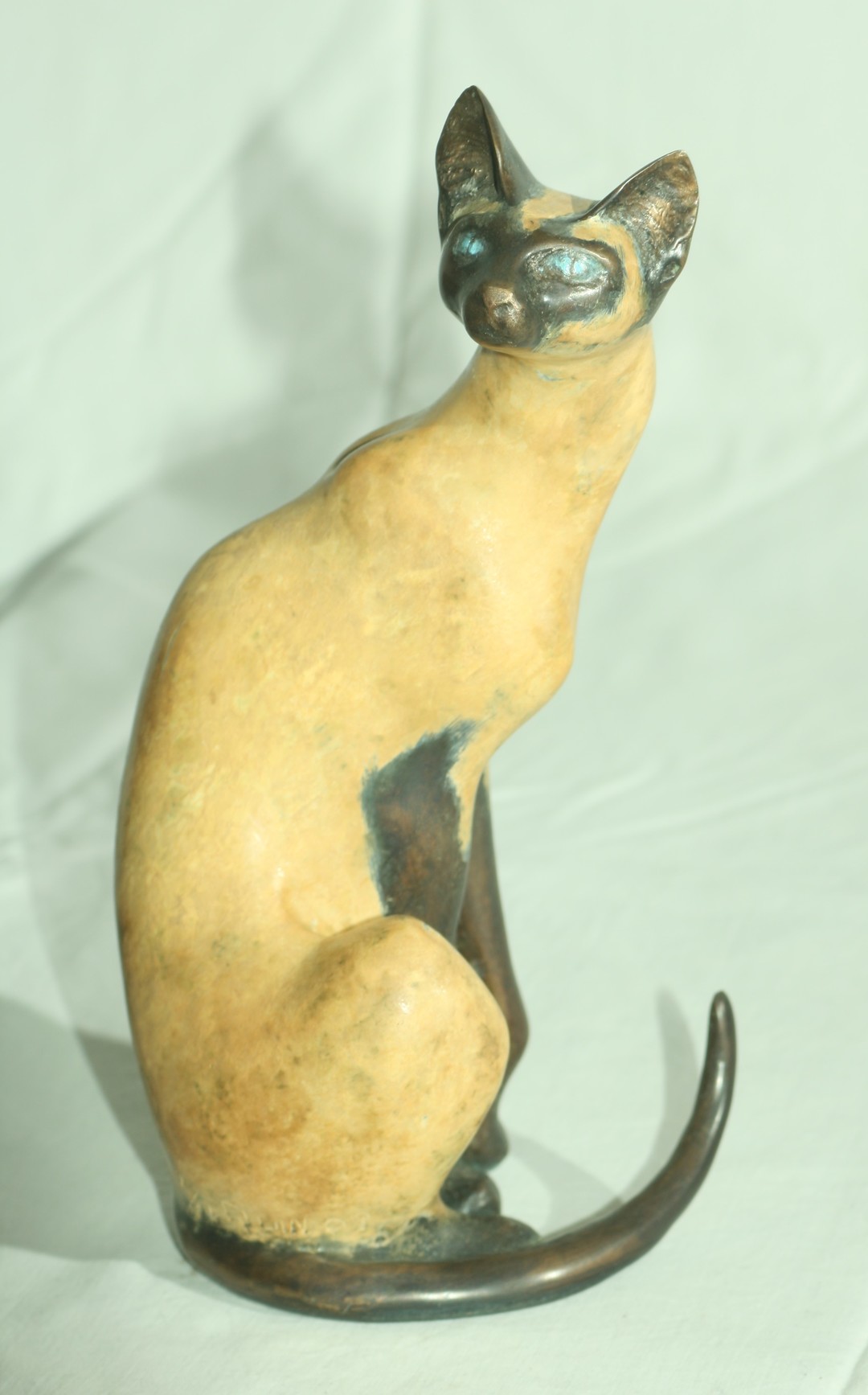 Siamese Cat - Image 2